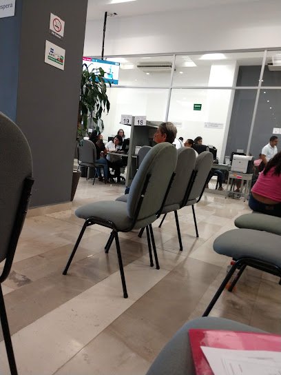 [Imagen de: Oficina del SAT en Córdoba, Veracruz]