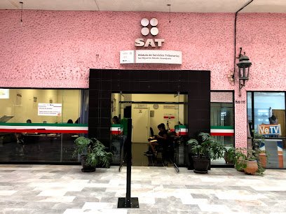 ubicacion del sat en San Miguel de Allende