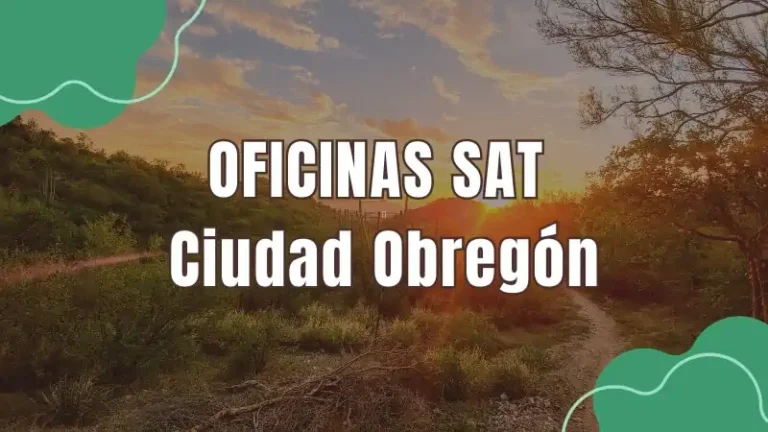 Oficinas SAT SAT Ciudad Obregón
