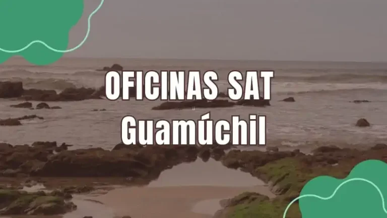 Oficinas SAT SAT Guamúchil