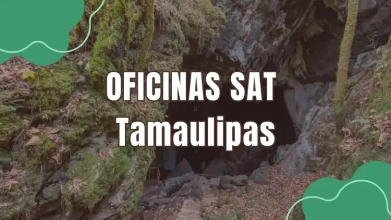 Oficinas SAT en Tamaulipas
